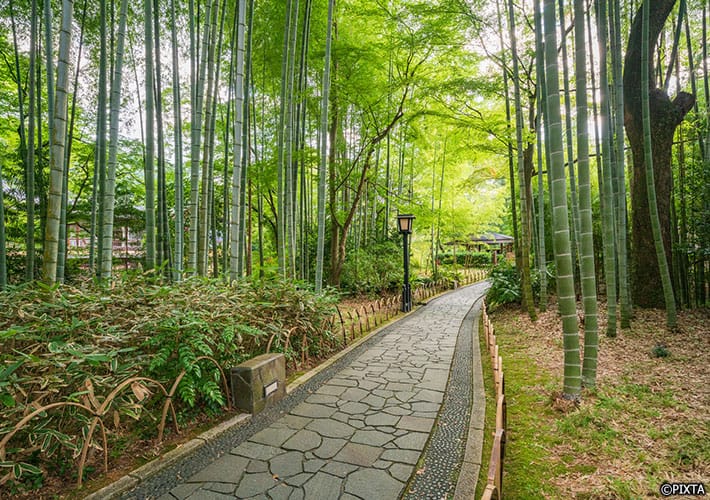 Atami Shuzenji Onsen And Numazu Day trip Adventures In The Izu 