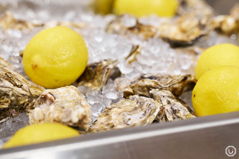 Photo of raw oysters