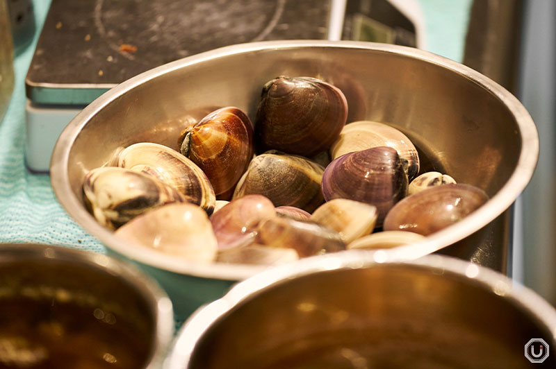 Photo of clams