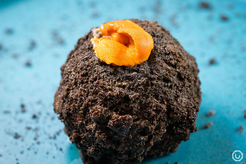 Photo of Sea Urchin Cream Croquette