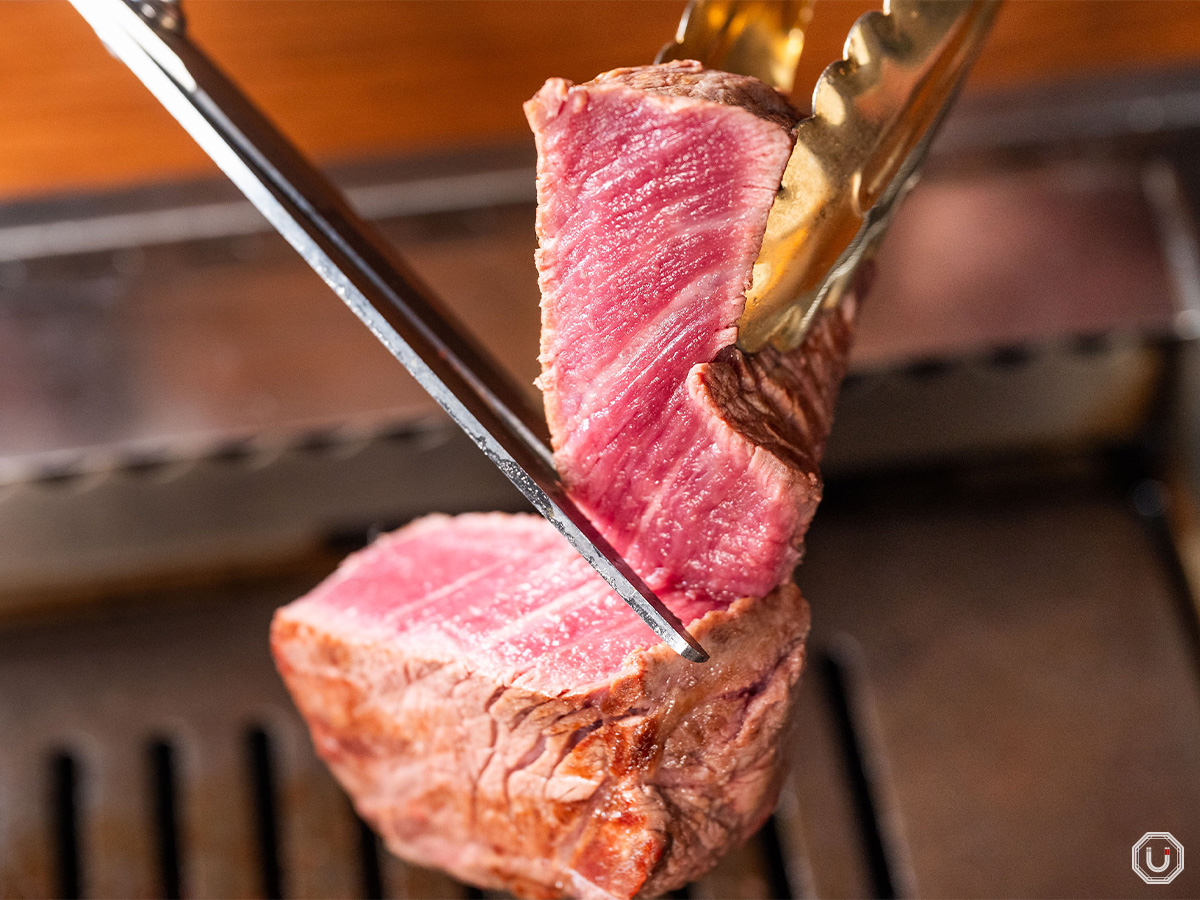 人気焼肉店のレシピ集 楽天市場】焼肉店 第30集／レシピ【1000円以上送料無料