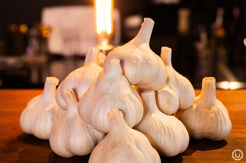Photo of garlic bulbs