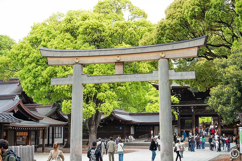 The main shrine of Meiji Jingu