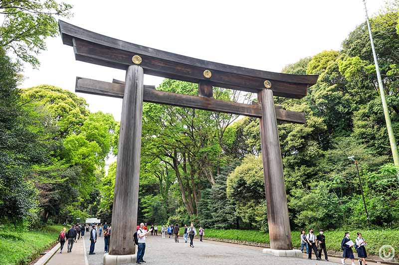 Meiji Shrine's largest torii gate in Japan