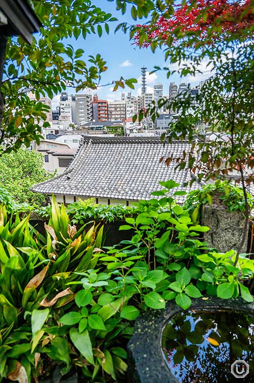 The view of Yotsuya from Suga Shrine’s grounds