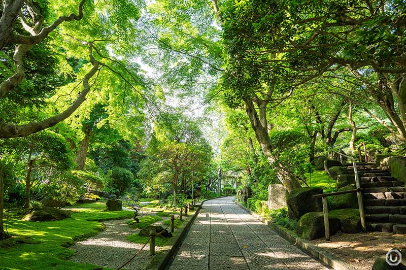 鎌倉にある報国寺の日本庭園