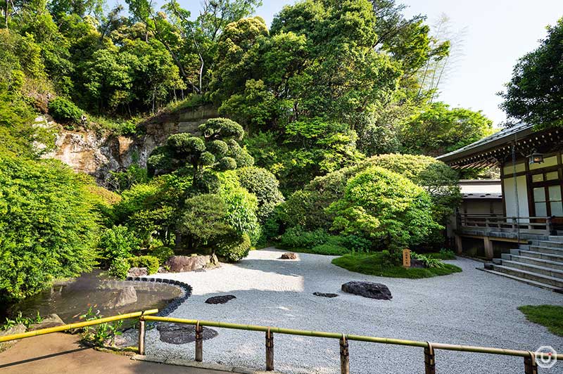 The Japanese garden at Houkokuji Temple in Kamakura