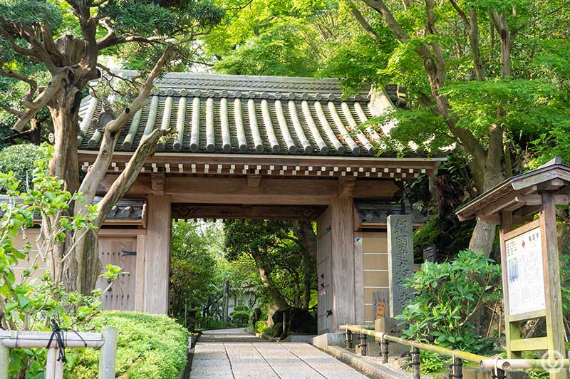 The sanmon gate at Houkokuji Temple in Kamakura