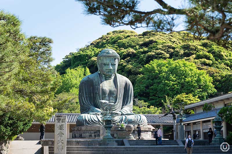 The Great Buddha of Kamakura at Kotoku-in