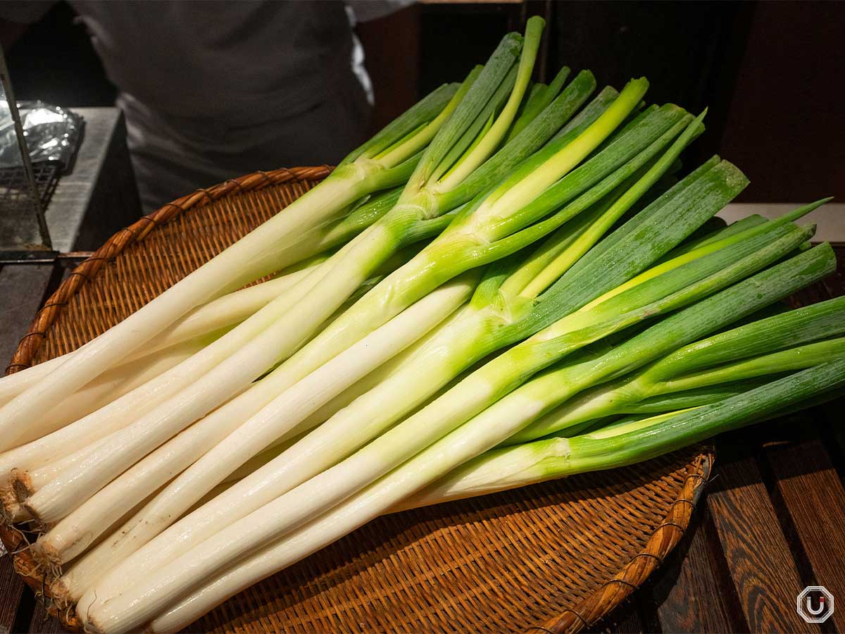 渋谷でおいしいネギを食べるならココ！ 専門店の本気とは！？【葱や