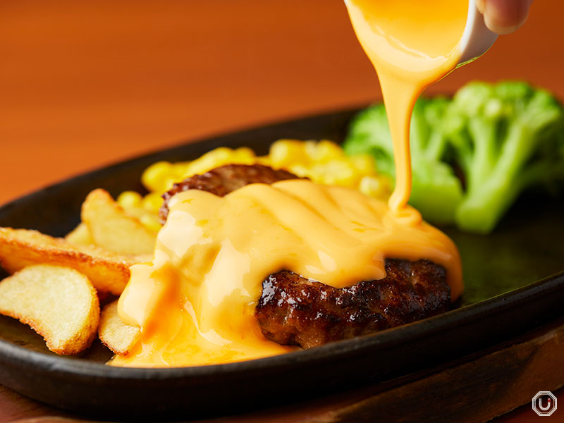 Sudacho Hamburger Steak at Sudacho Shokudo in Akihabara