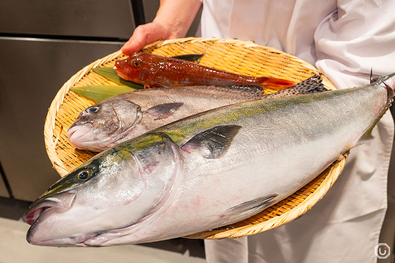 渋谷にある回転寿司、金沢まいもん寿司で使う新鮮な魚介類