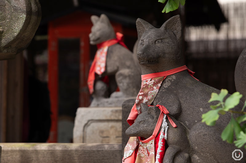 Fox statue at Hikan Inari Shrine