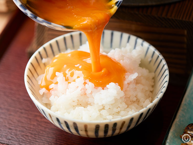 Egg over rice at Shuzen Honohomare in Shinjuku