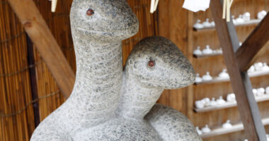 蛇窪神社の写真