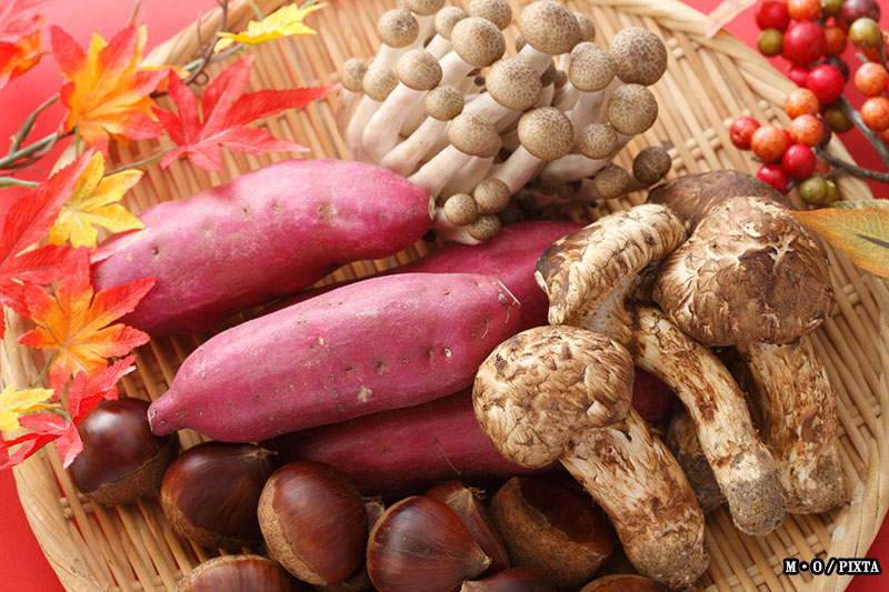 Fall vegetables in Japan