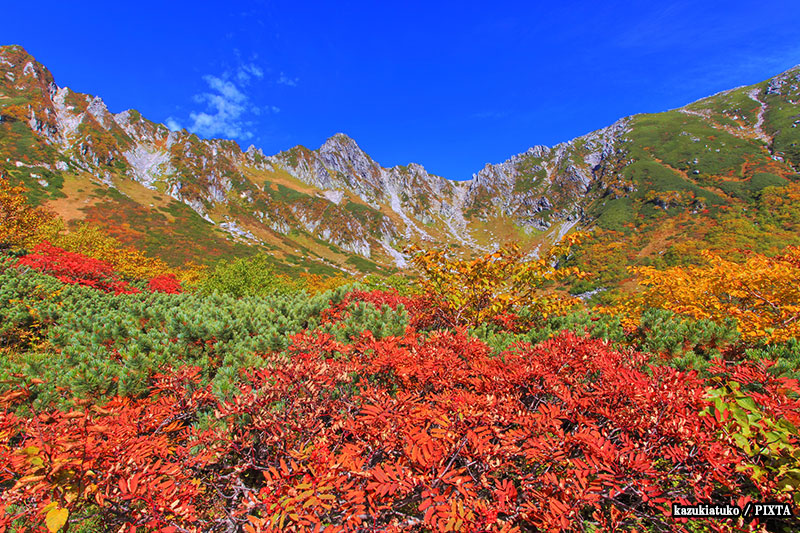 fall foliage at Senjojiki Cirque