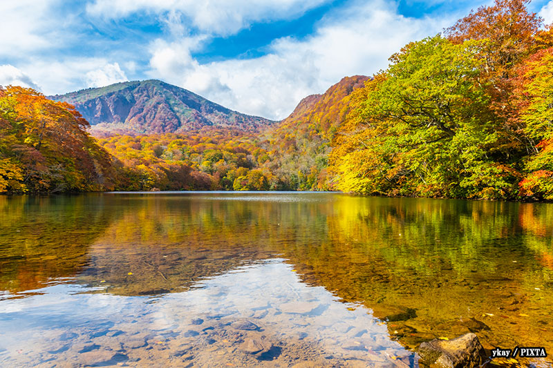 Tsutanuma in fall