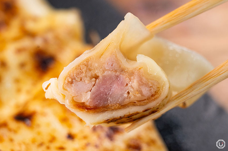 Cheese pork shoulder Gyoza at Kittan Gyoza in Nakameguro