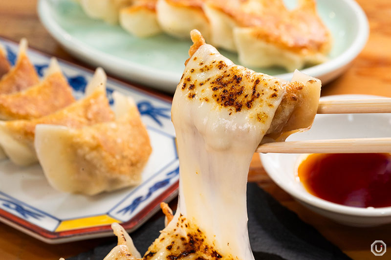 Cheese pork shoulder Gyoza at Kittan Gyoza in Nakameguro