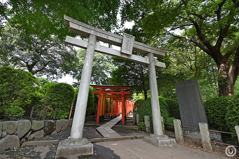 torii gates