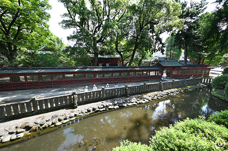 Nezu Jinja Shrine