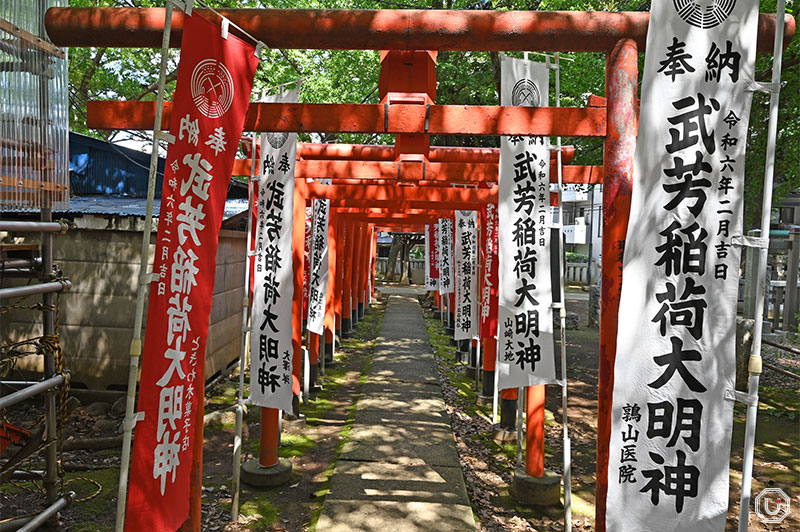 Torii gates