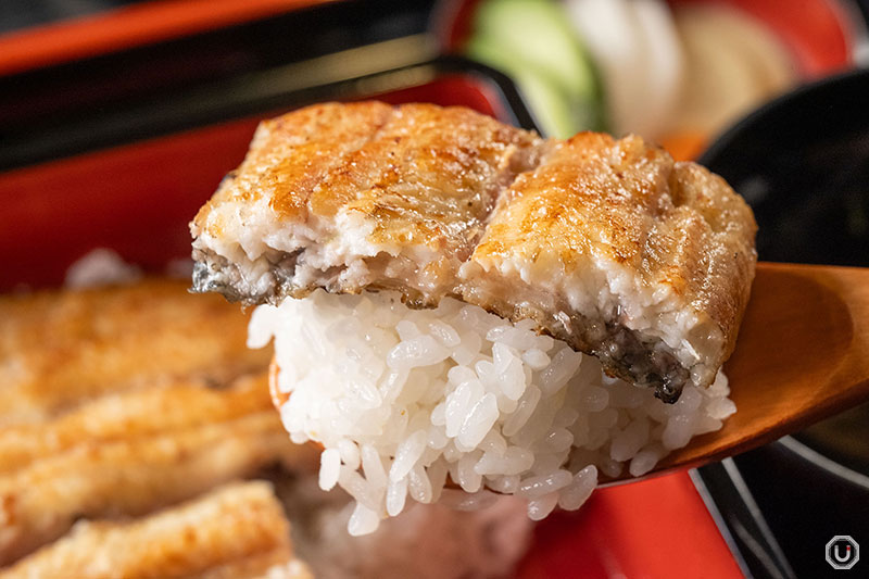 Shirayaki eel at Unagi Kaneichi Higashi Ueno