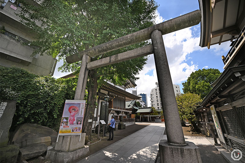 torii gate