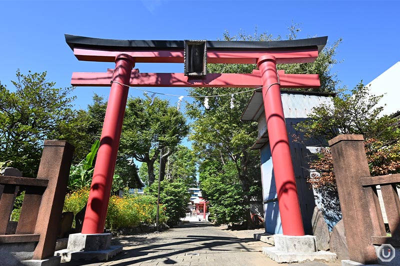 Torii gates