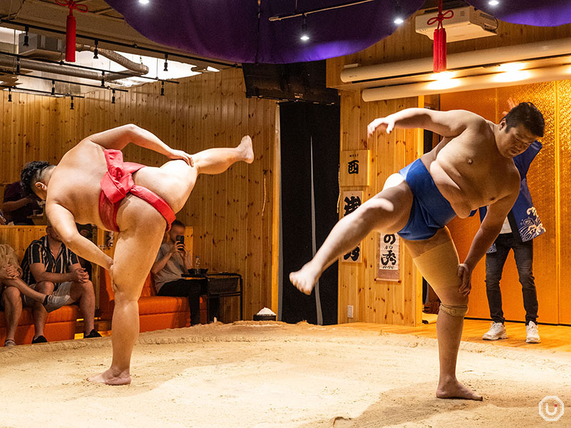 Performance at Asakusa Sumo Club