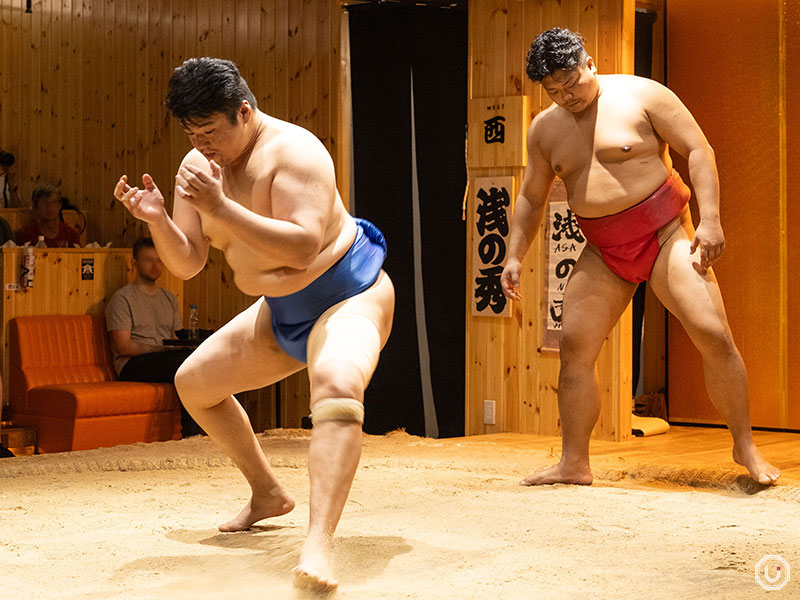 Asakusa Sumo Club Sumo show