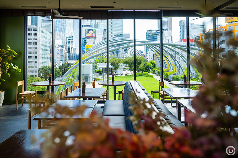 Interior of TWELVE ON THE PARK BAR & GRILL