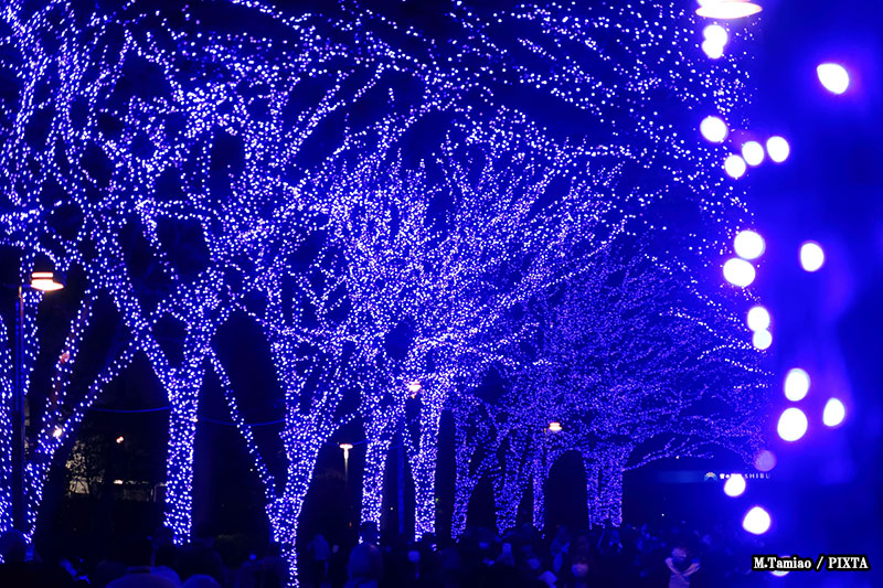 Shibuya Ao no Dokutsu illumination