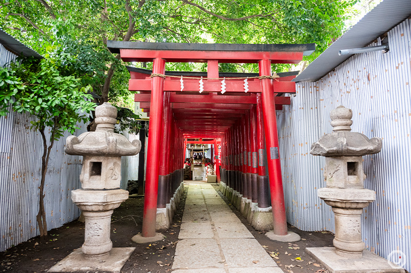 A Must-Visit Spot in Shinjuku! Discover Hanazono Shrine, the Guardian ...