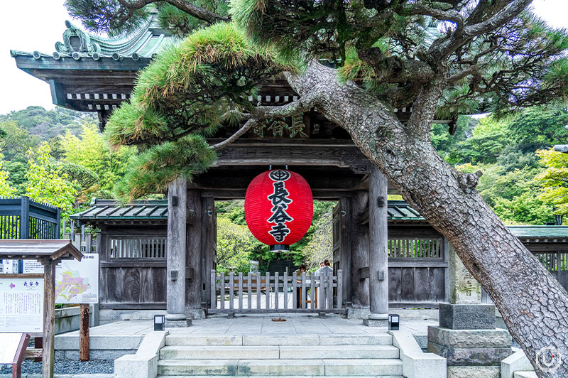 Hase Temple's sanmon entrance gate