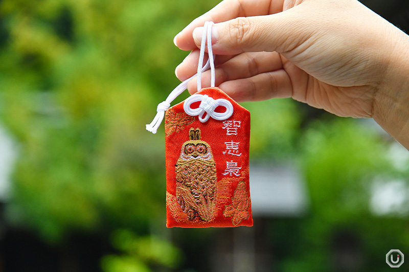 Chi'e Fukuro (wisdom owl) amulet at Chichibu Shrine