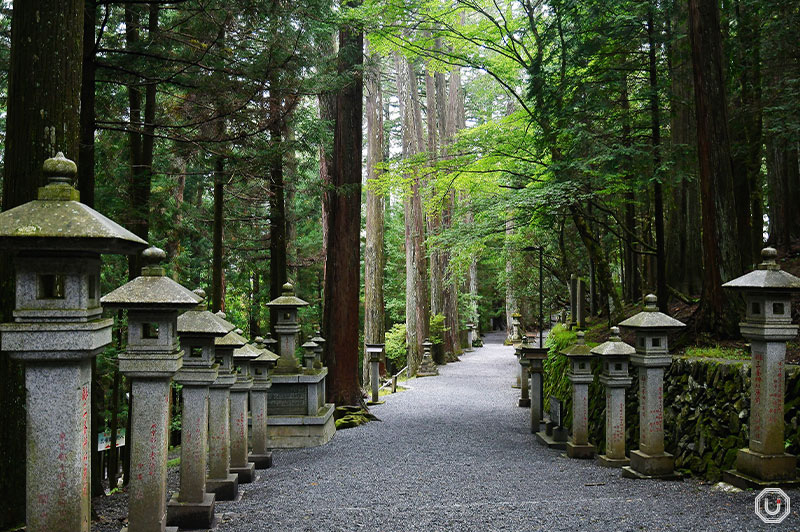 pathway in Mitsumine Shrine