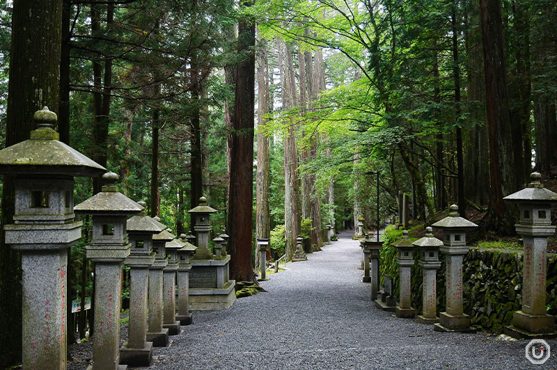 pathway in Mitsumine Shrine