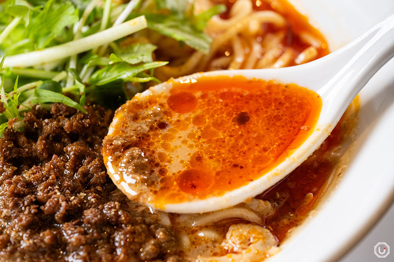 Szechuan dish of noodles with Soup at Shisen Tantanmen Aun in Yushima