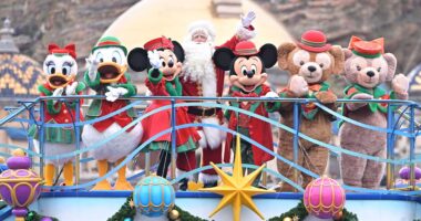 Disney Christmas at Tokyo DisneySea