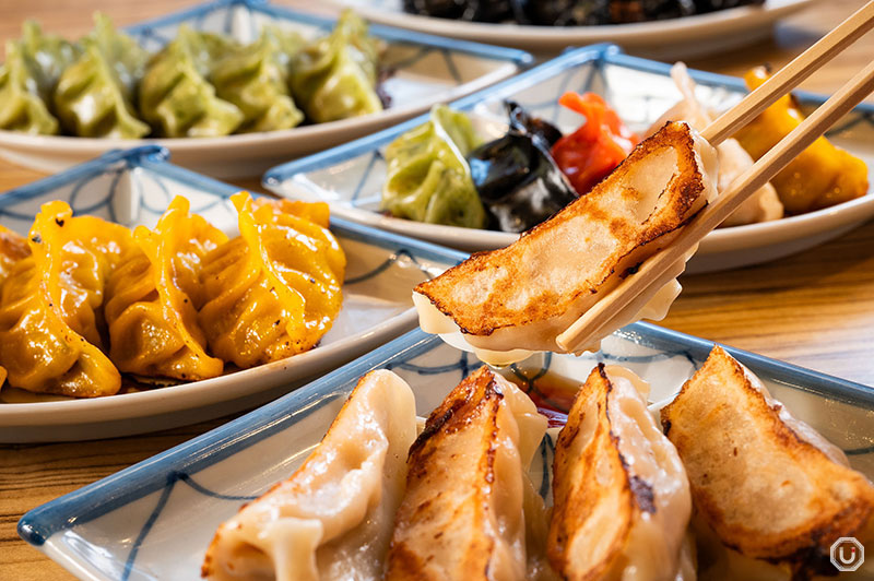 Pan-fried Gyoza at Shinjuku Kakekomi Gyoza