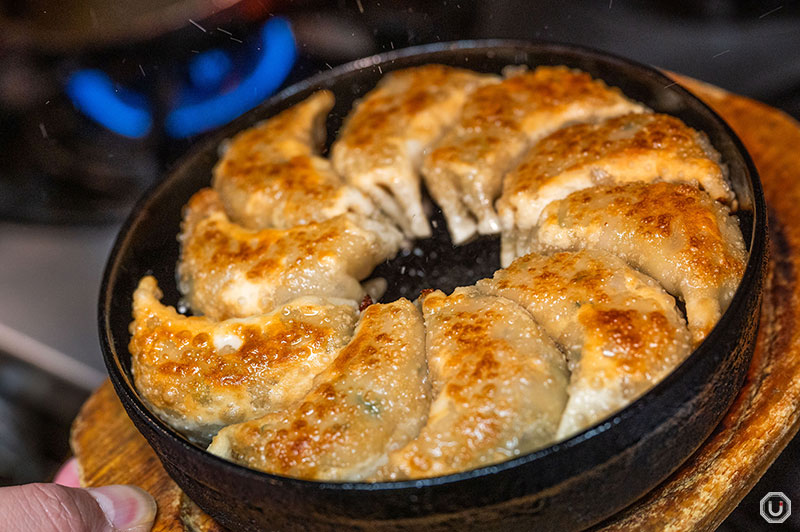 Hakata Iron Plate Gyoza at Kyūshū Nechūya Ueno LIVE