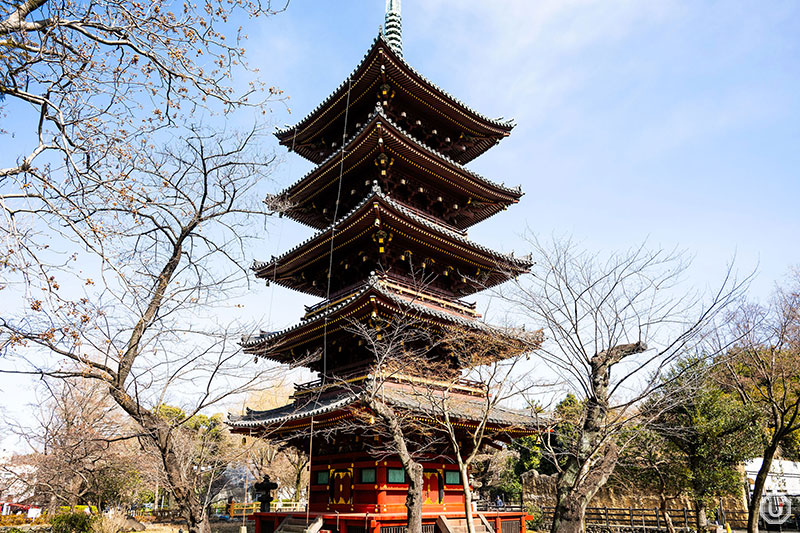 Five-storied Pagoda at Ueno Zoo