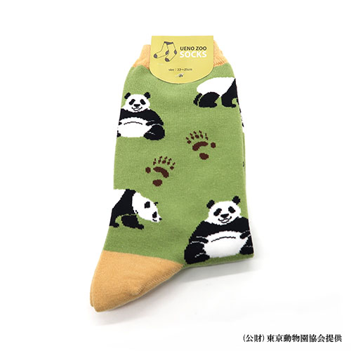 Adult-sized Giant panda Socks at Ueno Zoo