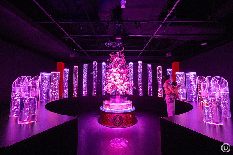 goldfish bamboo forest at ART AQUARIUM museum GINZA