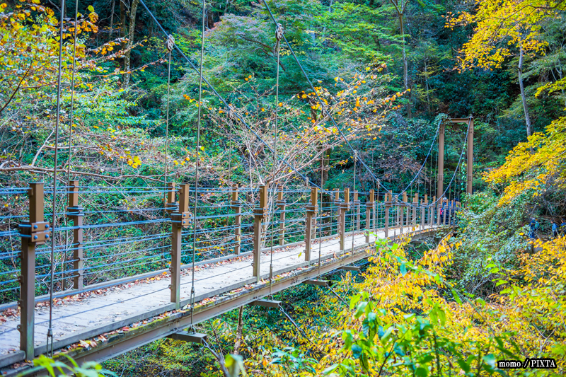 Mount Takao