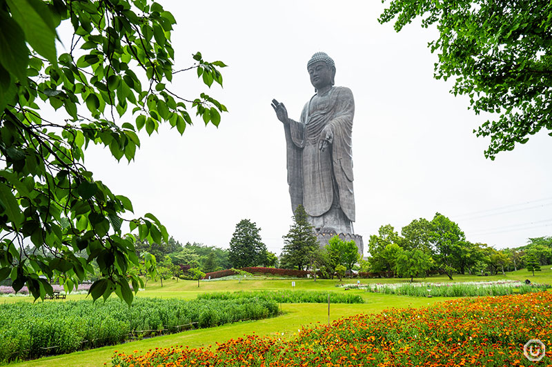 Ushiku daibutsu