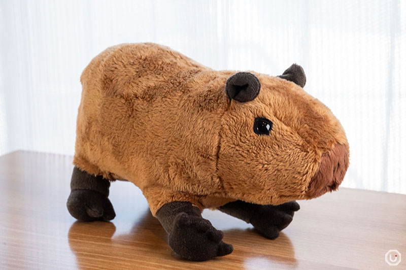 capybara plush toy at cafe capyba