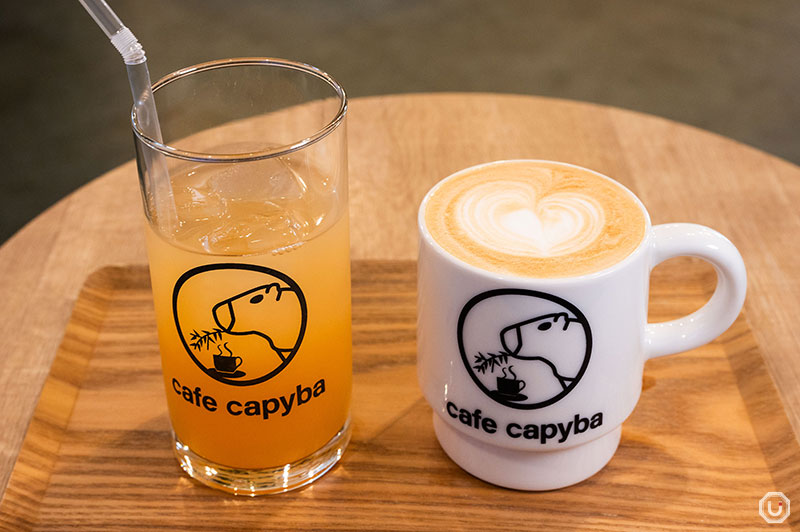 Glass and Mug